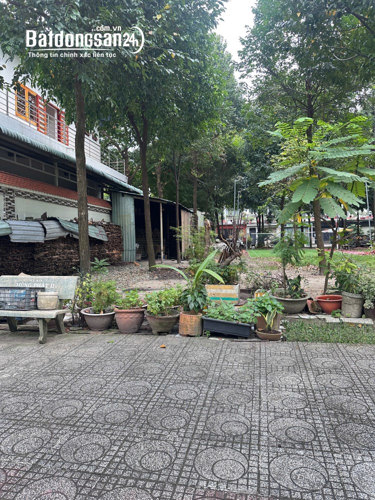 Bán đất Đường Hồ Văn Cống, Phường Thủ Dầu Một (Thủ Dầu Một cũ), Hồ Chí Minh