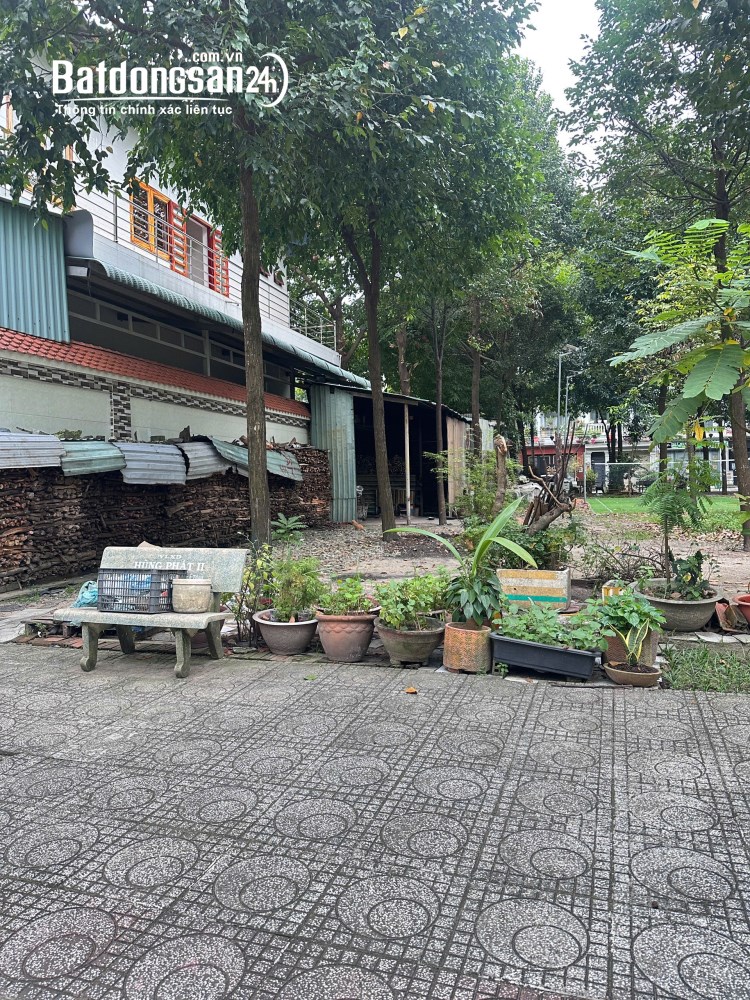 Bán đất Đường Hồ Văn Cống, Phường Thủ Dầu Một (Thủ Dầu Một cũ), Hồ Chí Minh