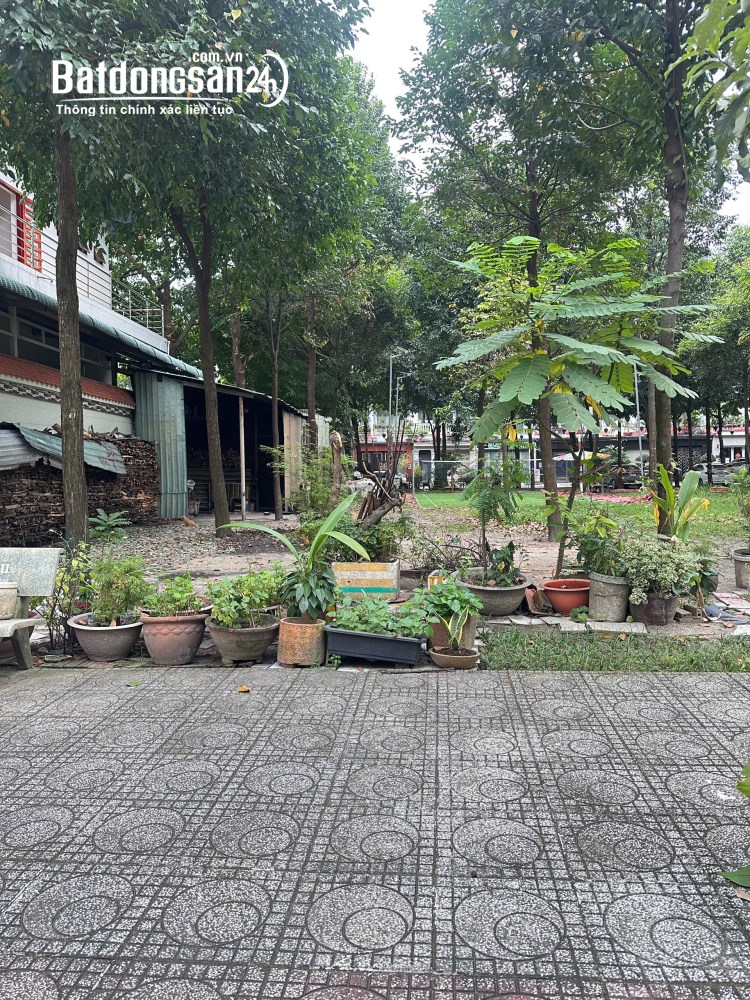 Bán đất Đường Hồ Văn Cống, Phường Thủ Dầu Một (Thủ Dầu Một cũ), Hồ Chí Minh