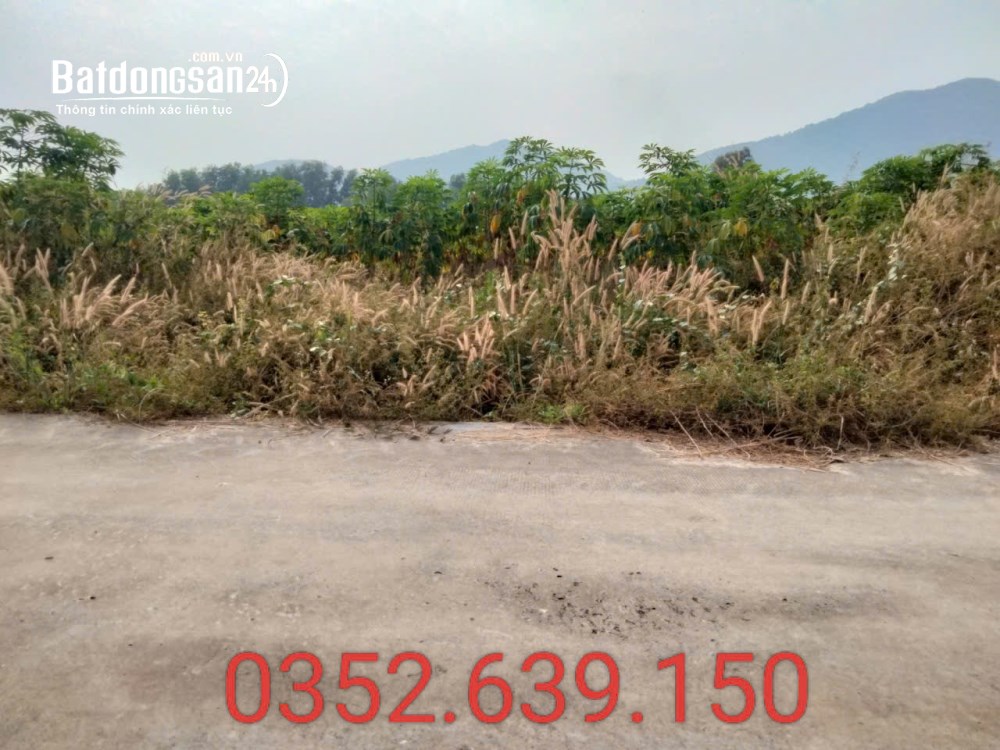 Lô Góc Siêu Đẹp, Tóc Tiên Phú Mỹ 8600M2, 260 Thổ Cư chỉ 11.5T (gặp Chủ)