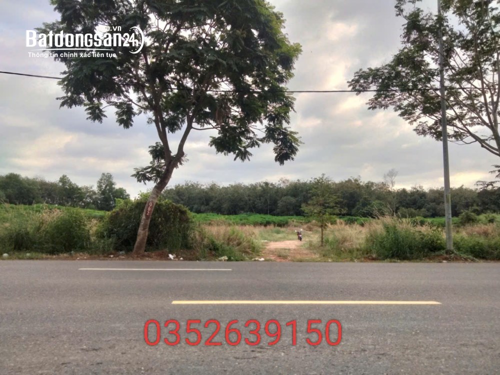 Bán đất Đường Mỹ Xuân - Ngãi Giao, Xã Châu Pha (TX Phú Mỹ cũ), Hồ Chí Minh