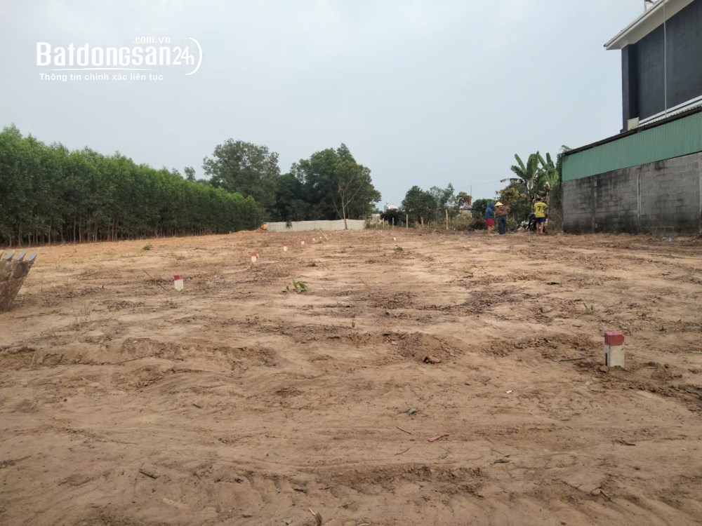 Vị trí Kim Cương, Hắc Dịch, Phú Mỹ 3300M2, 50 Thổ Cư, chỉ 5.5 tỷ