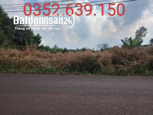 Bán đất Đường Mỹ Xuân - Ngãi Giao, Xã Châu Pha (TX Phú Mỹ cũ), Hồ Chí Minh