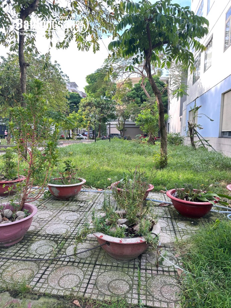 Bán đất Đường Hồ Văn Cống, Phường Thủ Dầu Một (Thủ Dầu Một cũ), Hồ Chí Minh