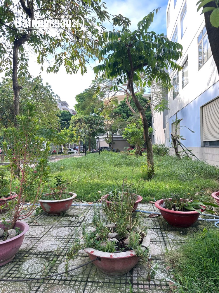 Bán đất Đường Hồ Văn Cống, Phường Thủ Dầu Một (Thủ Dầu Một cũ), Hồ Chí Minh