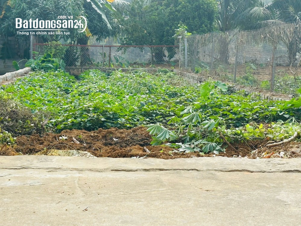 100M2 FULL ĐẤT Ở TẠI PHÚ CÁT, CHỈ NHỈNH 3 TỶ
