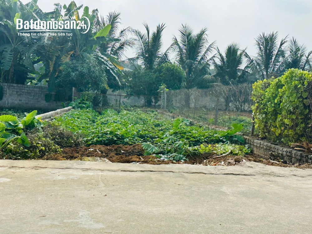 100M2 FULL ĐẤT Ở TẠI PHÚ CÁT, CHỈ NHỈNH 3 TỶ
