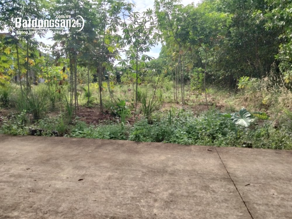 Suối Nhum, gần Võ Văn Kiệt, Hắc Dịch, Phú Mỹ 5*65, 60Tc chỉ 1.95T