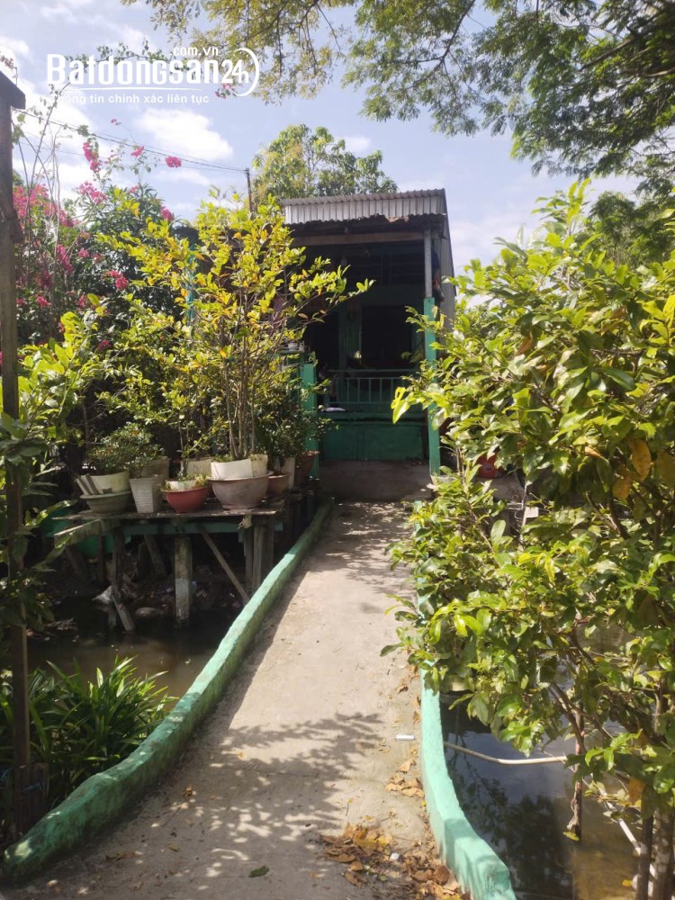 BÁN NHÀ TẠI TP CHÂU ĐỐC AN GIANG, DT 137M2 GIÁ CHỈ 1,5 TỶ. LH:0898132384.