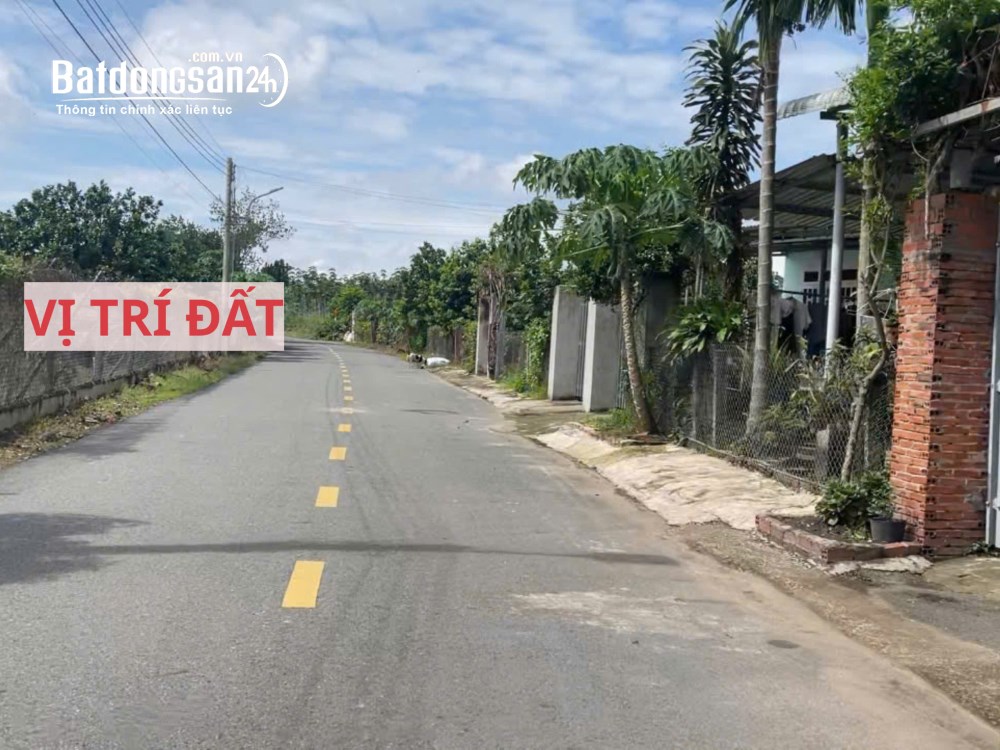 Bán đất mặt tiền đường nhựa có sẵn vườn bưởi tại Trừ Văn Thố Bàu Bàng Bình Dương