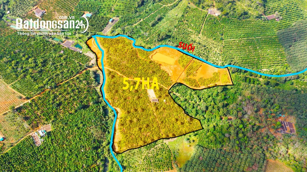 5,7ha coffee, đất bằng, kín gió, suối hồ nhà đầy đủ, Xã Quảng Tân (Huyện Tuy Đức cũ)