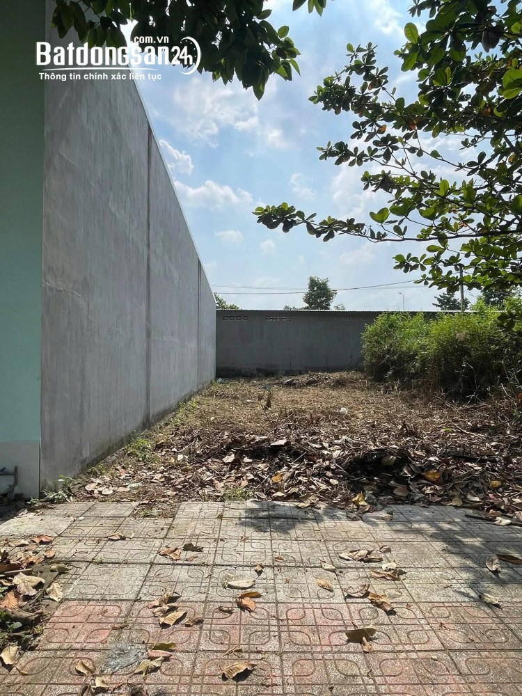 Bán đất Đường Hồ Văn Cống, Phường Bình Dương (Thủ Dầu Một cũ), Hồ Chí Minh