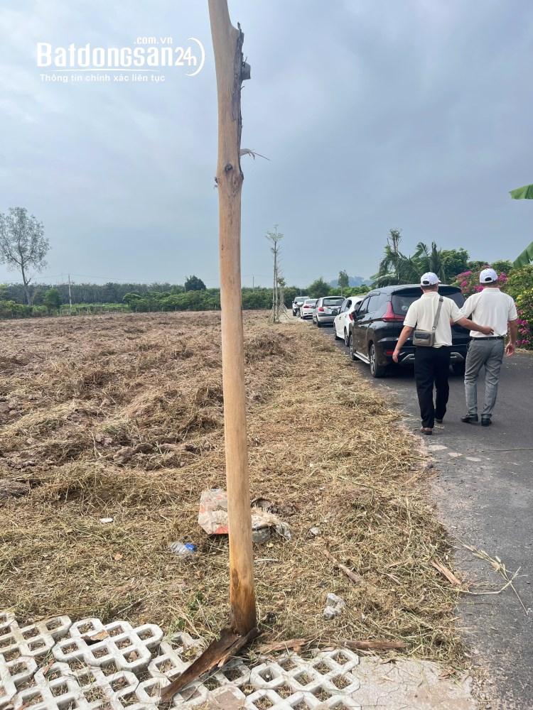 Bán đất Đường Tỉnh lộ 329, Xã Hòa Hội (Huyện Xuyên Mộc cũ), TP Hồ Chí Minh