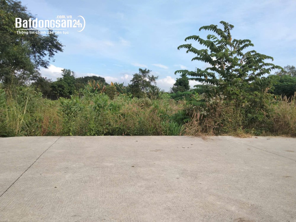 *Đất đẹp, gần Chợ Châu Pha, Phú Mỹ, Vũng Tàu 20*54, chỉ 1.8T 