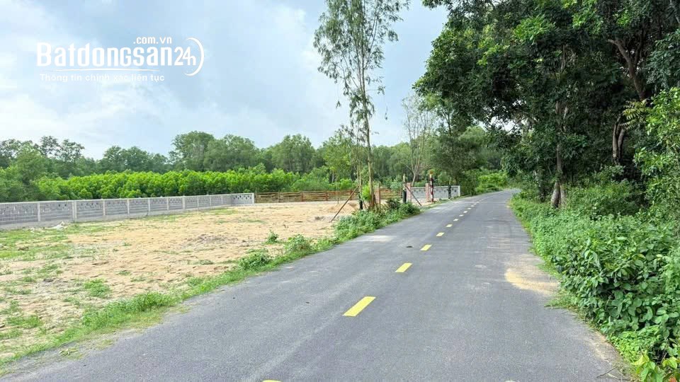 BÁN CẮT LỖ – ĐẤT VIEW NÚI MINH ĐẠM – GẦN HỒ SỞ BÔNG, Xã Phước Hải (Huyện Đất Đỏ cũ)