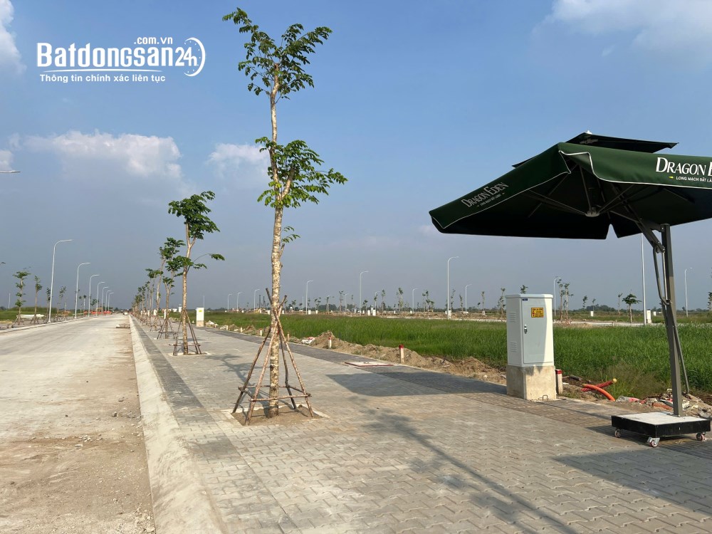 Bán đất Đường Trần Đại Nghĩa, Xã Bình Chánh (H Bình Chánh cũ), Hồ Chí Minh