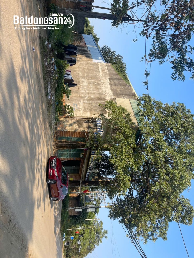Bán đất Hoà Lạc, TĐC Hoà Lạc, đối diện hv Tài Chính, đh FPT, ĐHQG, cách metro 500m.