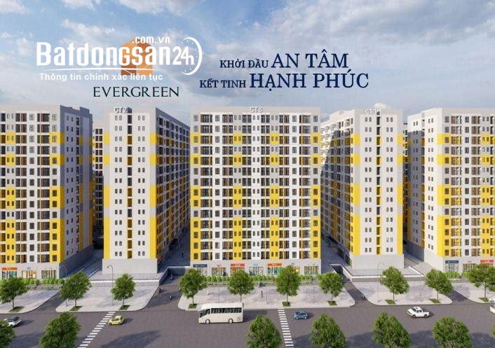 Cho thuê căn hộ Seoul Eco Homes, Phường An Dương (Huyện An Dương cũ), Hải Phòng