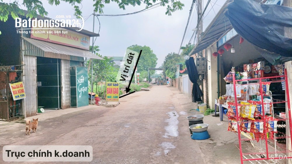 TRỤC CHÍNH, KD TỐT, 68M2, CHỈ HƠN 3 TỶ, Xã Hạ Bằng (H Thạch Thất cũ)