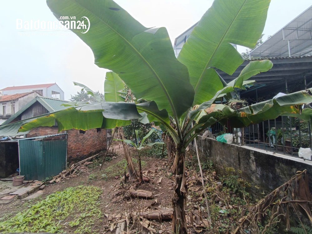 Bán đất Bán đất Hoà Lạc, TTCNCHoà Lạc, Đường 21, Xã Hạ Bằng (H Thạch Thất cũ), Hà Nội