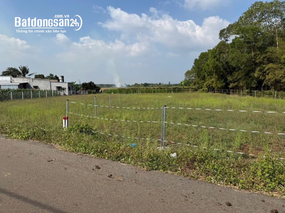 Bán đất NHÀ VƯỜN 492m² Xã Đất Đỏ (Huyện Đất Đỏ cũ), TP Hồ Chí Minh