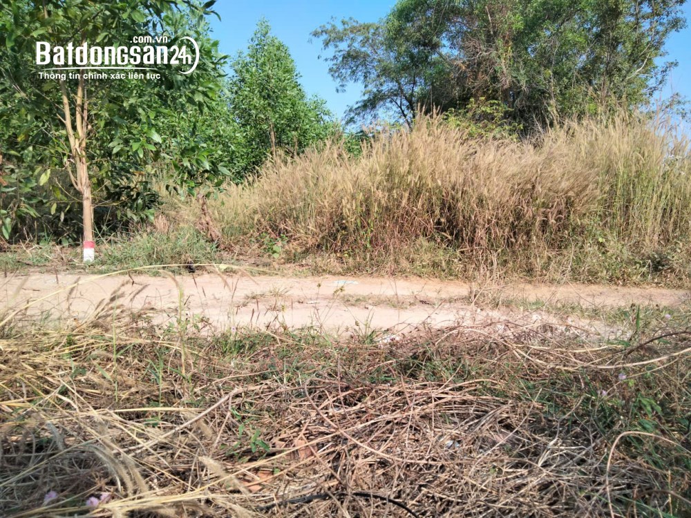 *Rẻ Bất Ngờ, Đất đẹp Mỹ Xuân, Phú Mỹ 135M2, 60Tc Chỉ 1.49T