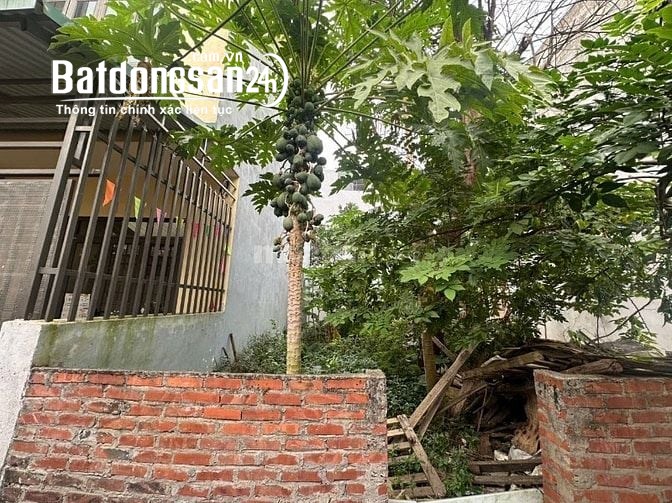 Bán Đất Hoà Lạc, tai Phú Cát, Ô Tô Tránh Vỉa Hè, 110 m2, Đối Điện ĐHQG, ĐhFPT.