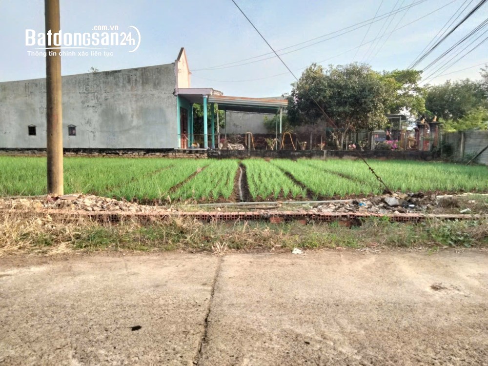 Hiếm, lô Góc, 3 Mặt Tiền, Bàu Phượng, Châu Pha, 580M2, Thổ Cư, Chỉ 3.2T