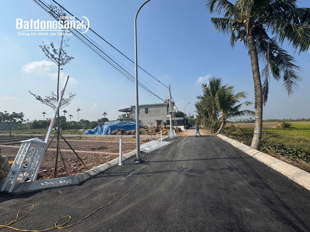 Bán đất nền phân lô Đường 302, Xã An Hưng (Huyện An Lão cũ), Hải Phòng