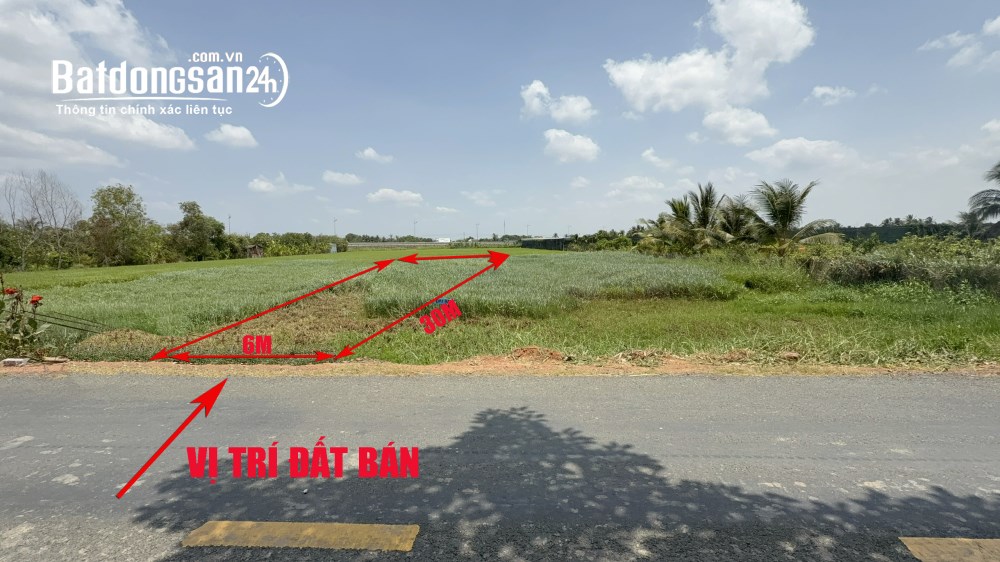 Chính chủ-Bán đất FULL thổ 6x30m, Mặt tiền 12m Trần Văn Ngàn, Xã Thủ Thừa, Long An cũ