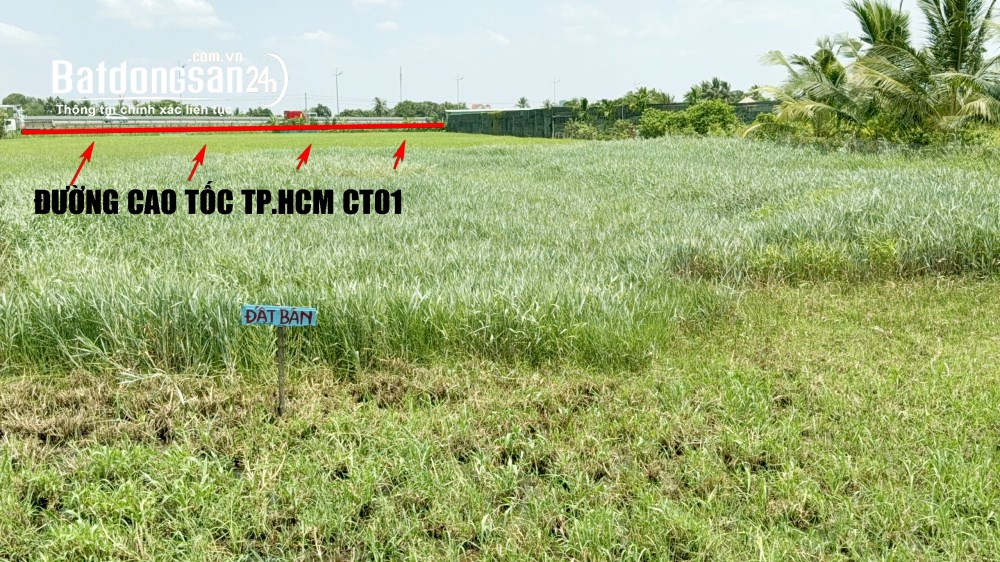 Chính chủ-Bán đất FULL thổ 6x30m, Mặt tiền 12m Trần Văn Ngàn, Xã Thủ Thừa, Long An cũ
