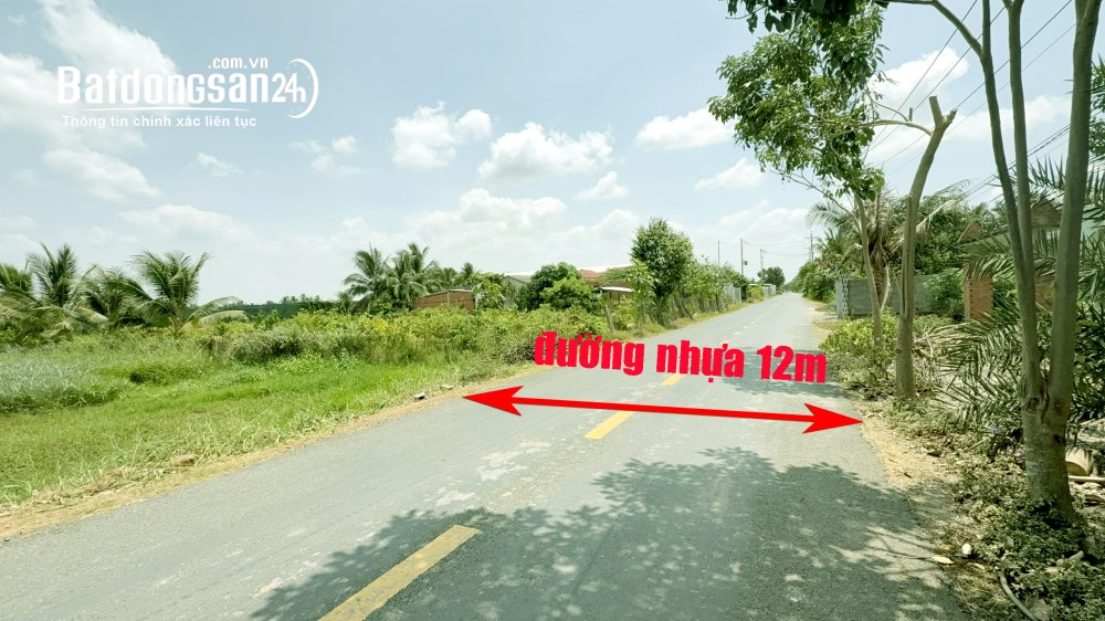 Chính chủ-Bán đất FULL thổ 6x30m, Mặt tiền 12m Trần Văn Ngàn, Xã Thủ Thừa, Long An cũ