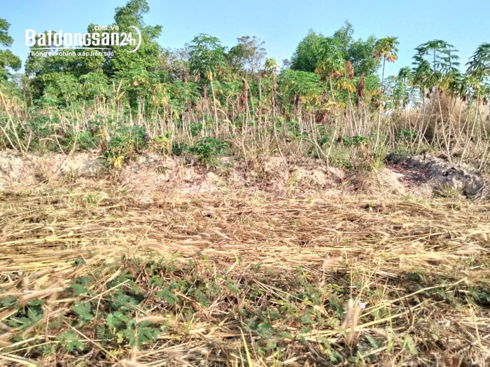 Rẻ Bất Ngờ, Hắc Dịch, Phú Mỹ 500M2, Chỉ 580 Triệu.