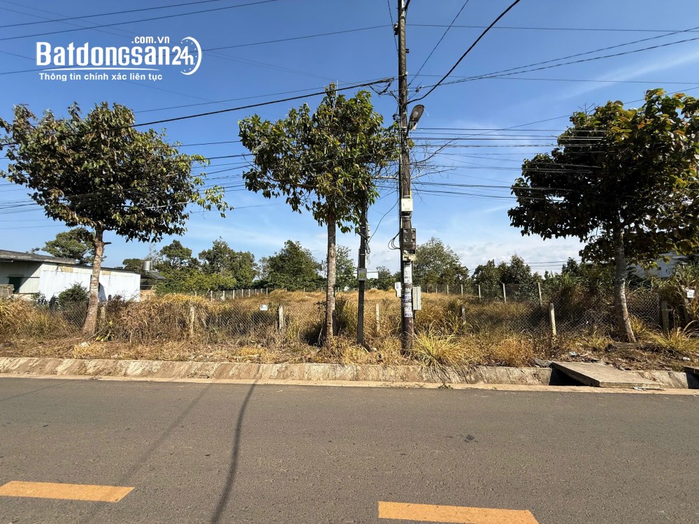 Bán đất mặt tiền Đường Đoàn Thị Điểm, Phường 1 Bảo Lộc (Tp Bảo Lộc cũ), Lâm Đồng