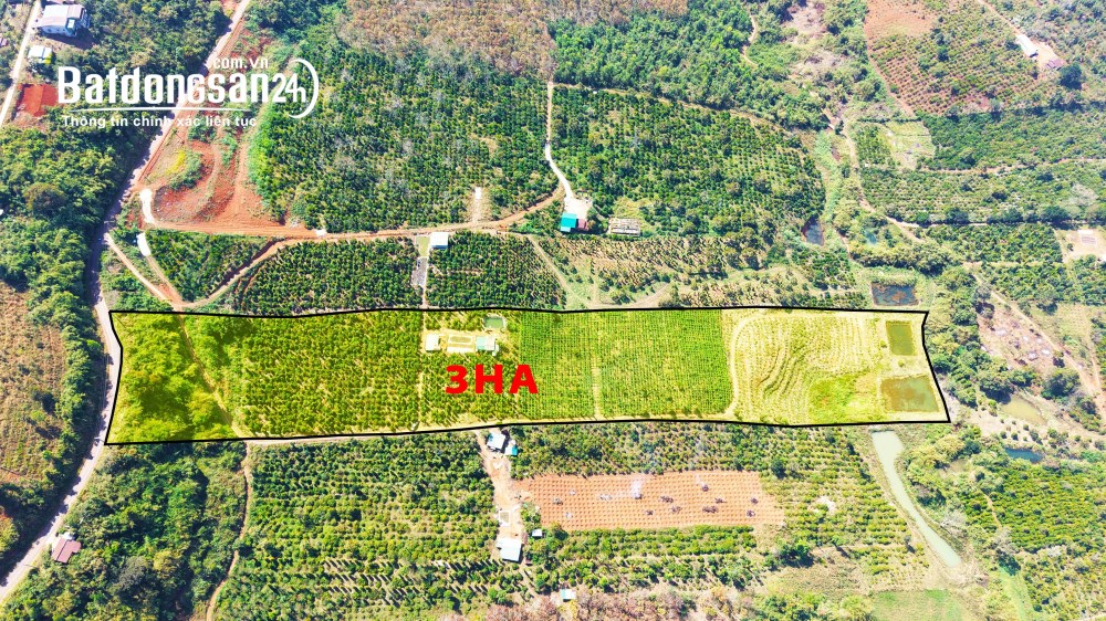 3ha giá rẻ nguồn thu mạnh,gần trung tâm,đất bằng,điện nước đầy đủ