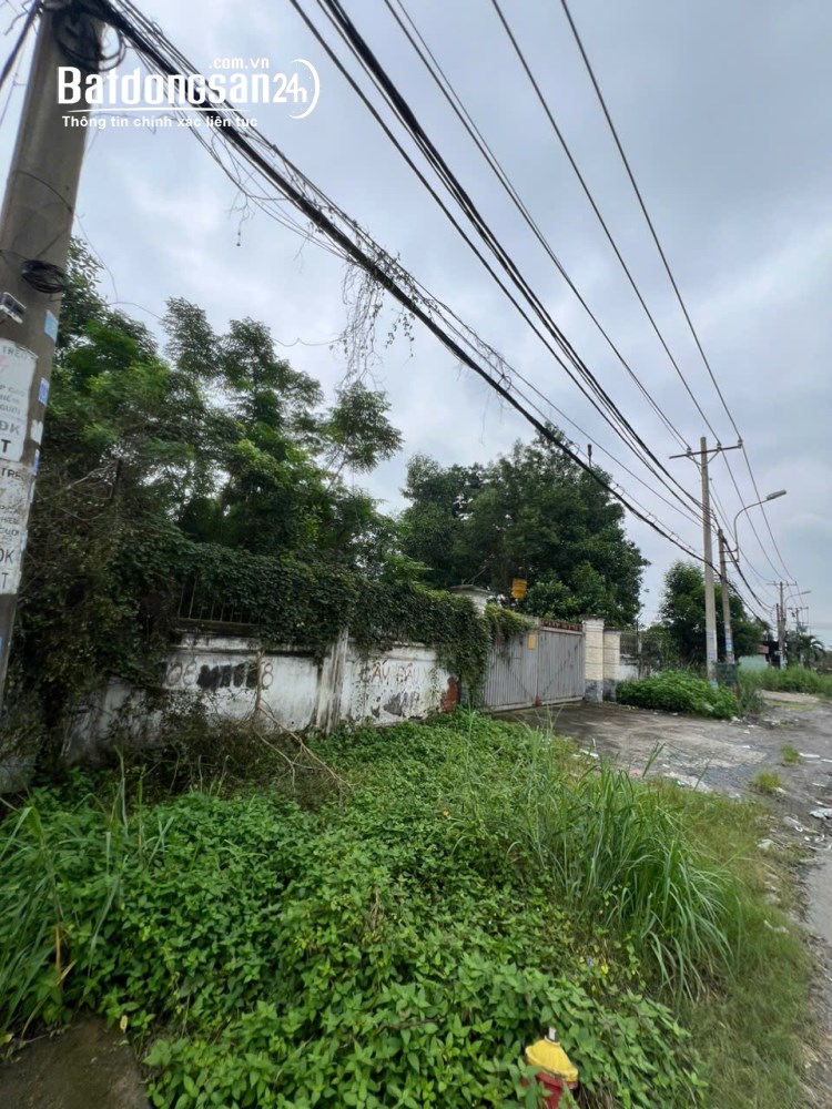 Bán đất Đường Nguyễn Đình Kiên, Phường Tân Tạo (Q Bình Tân cũ), Hồ Chí Minh
