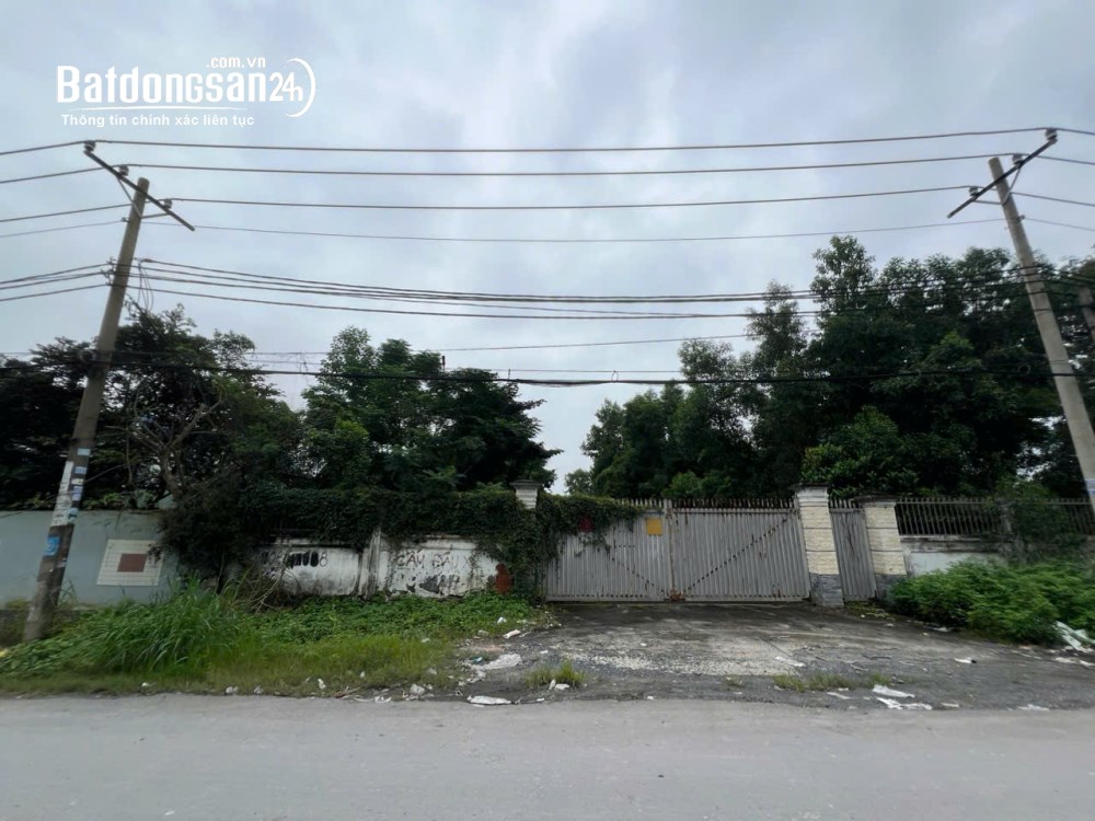 Bán đất Đường Nguyễn Đình Kiên, Phường Tân Tạo (Q Bình Tân cũ), Hồ Chí Minh