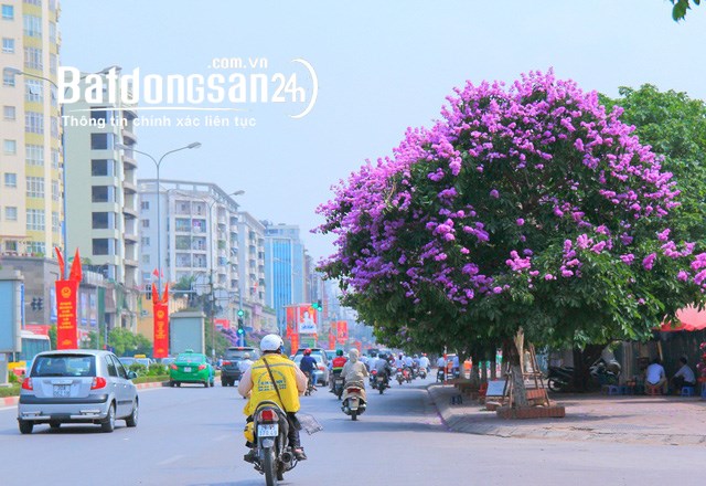 Bán nhà Đường Đào Tấn, Phường Ngọc Hà (Q Ba Đình cũ), Hà Nội