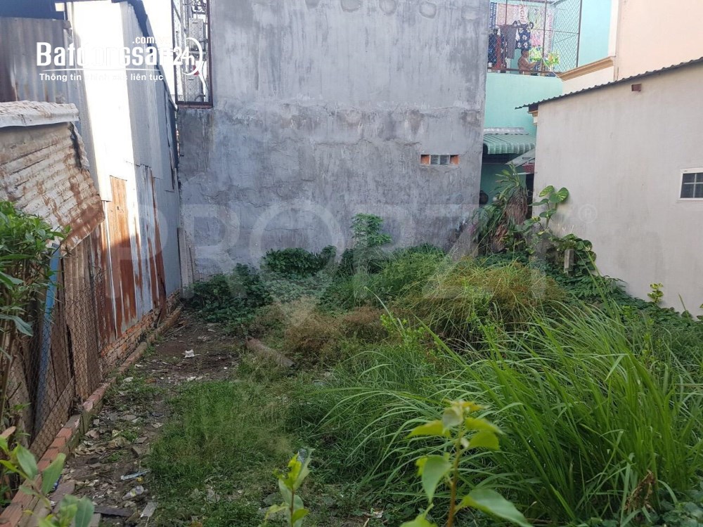 Bán đất Đường Quốc Lộ 50, Xã Hưng Long (H Bình Chánh cũ), Hồ Chí Minh