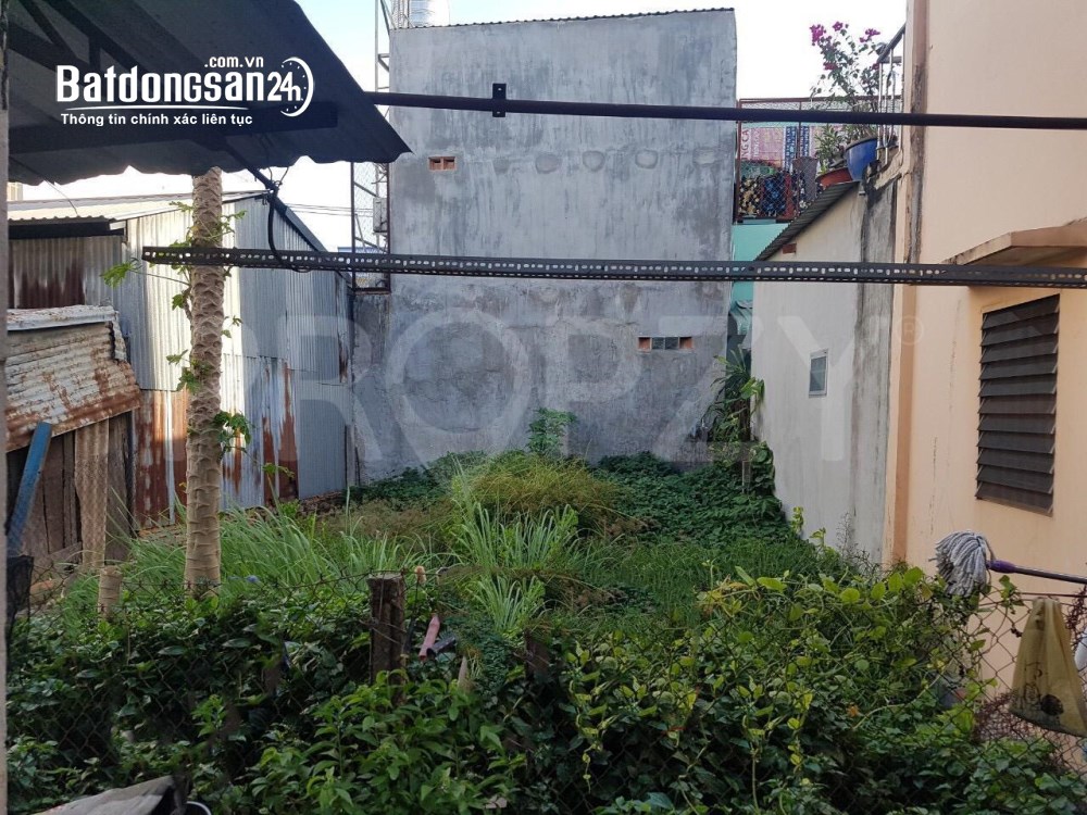 Bán đất Đường Quốc Lộ 50, Xã Hưng Long (H Bình Chánh cũ), Hồ Chí Minh