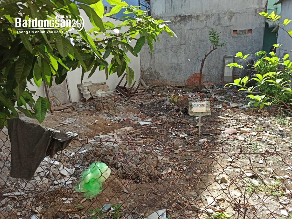 Bán đất Đường Quốc Lộ 50, Xã Hưng Long (H Bình Chánh cũ), Hồ Chí Minh