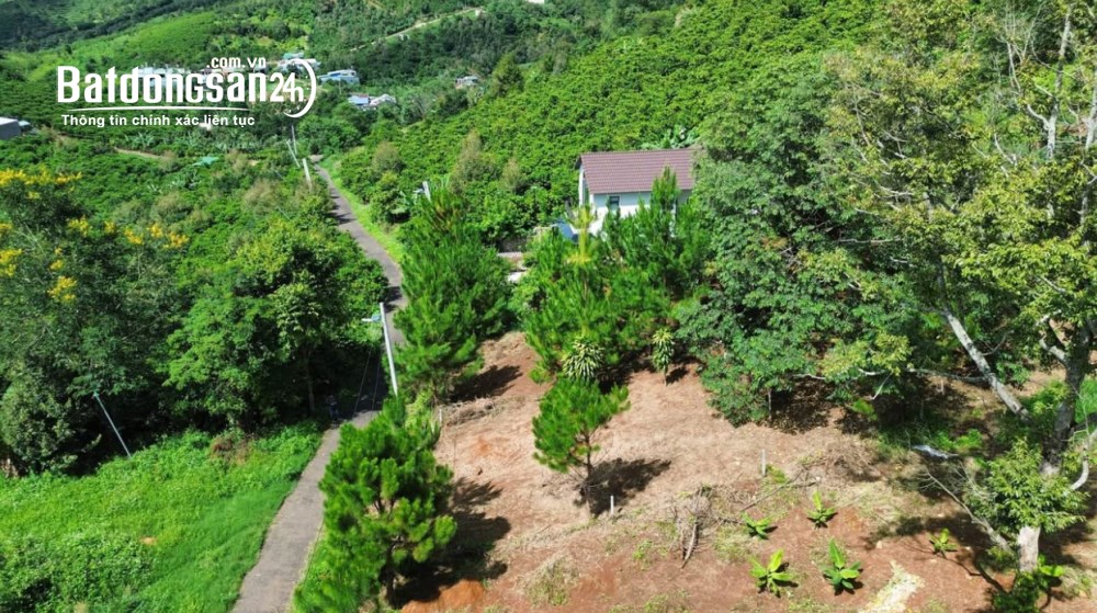 Bán đất nền thôn 10A Lộc Thành Xã Bảo Lâm 3 (Huyện Bảo Lâm cũ), Tỉnh Lâm Đồng