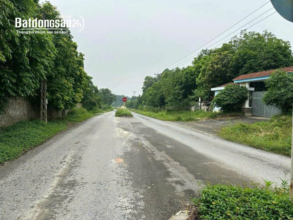 Bán đất Đường Quốc Lộ 2B, Phường Vĩnh Phúc (Tp Vĩnh Yên cũ), Phú Thọ