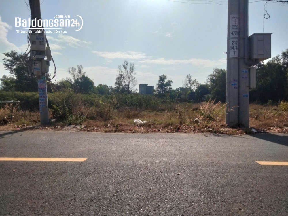 Bán đất Đường Hắc Dịch - Tóc Tiên, Xã Châu Pha (TX Phú Mỹ cũ), TP Hồ Chí Minh