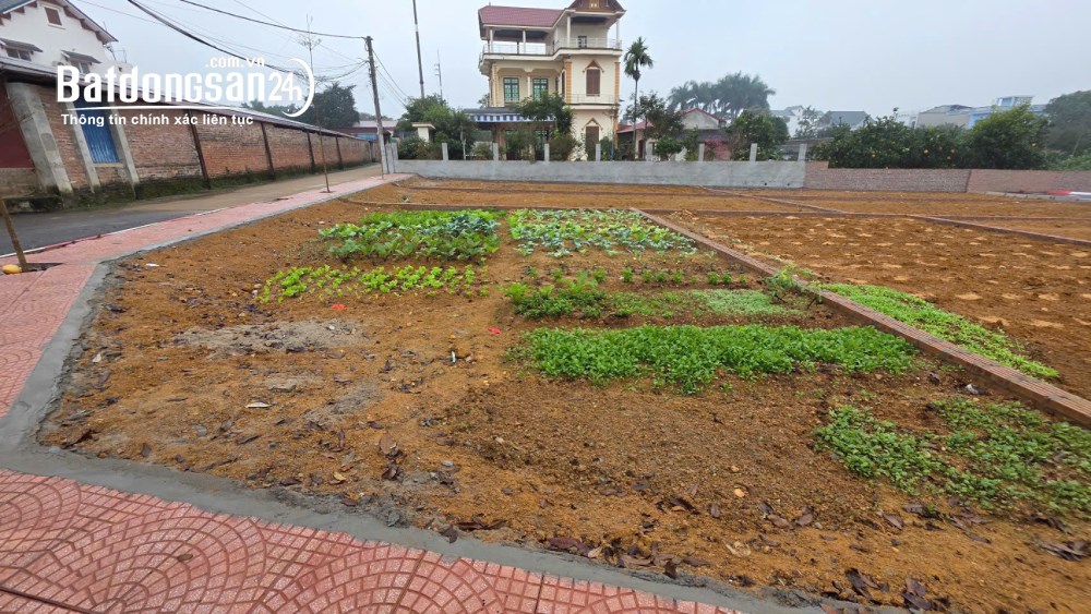 LÔ GÓC, TRỤC CHÍNH, 119M2 FULL ONTPHÚ CÁT, CHỈ HƠN 3 TỶ 