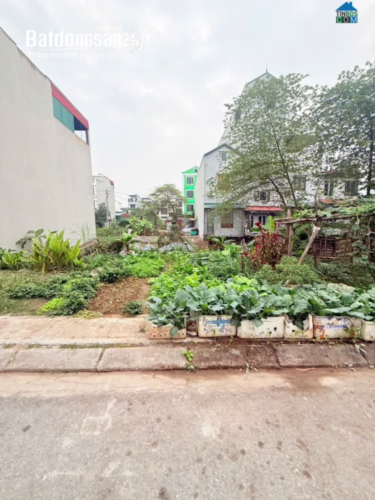 Bán đất Đường Đại lộ Thăng Long, Xã Hòa Lạc (H Thạch Thất cũ), Hà Nội