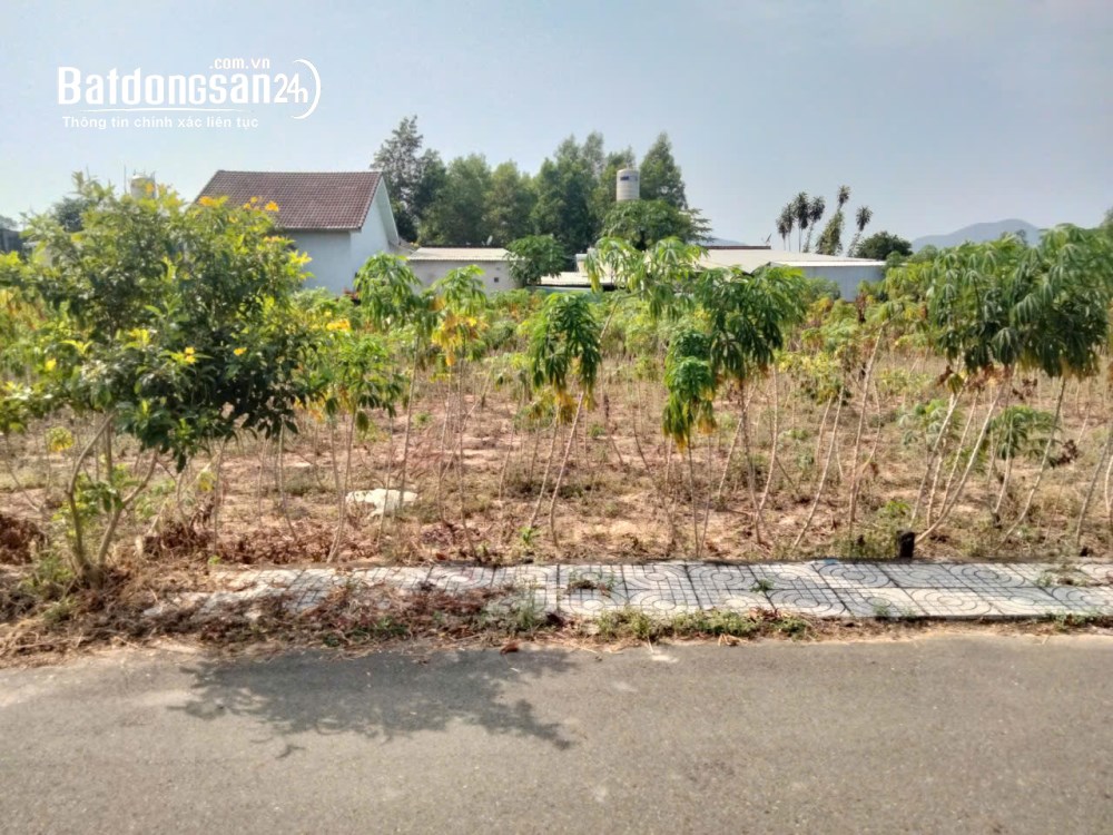 *Rẻ bất ngờ, gần Chợ Hắc Dịch, Phú Mỹ, 5*30, 60 Thổ Cư, chỉ 1.4T *Cách đường Trần Phú
