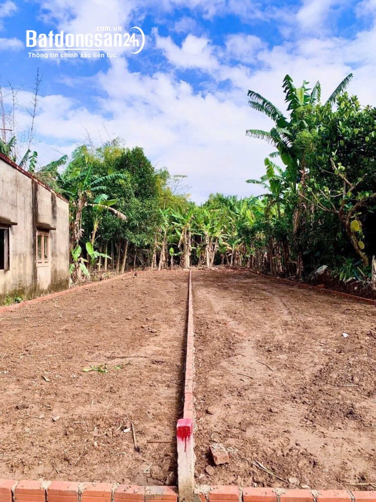 Bán đất Đường ĐT 609, Xã Điện Bàn Tây (Huyện Điện Bàn cũ), Đà Nẵng