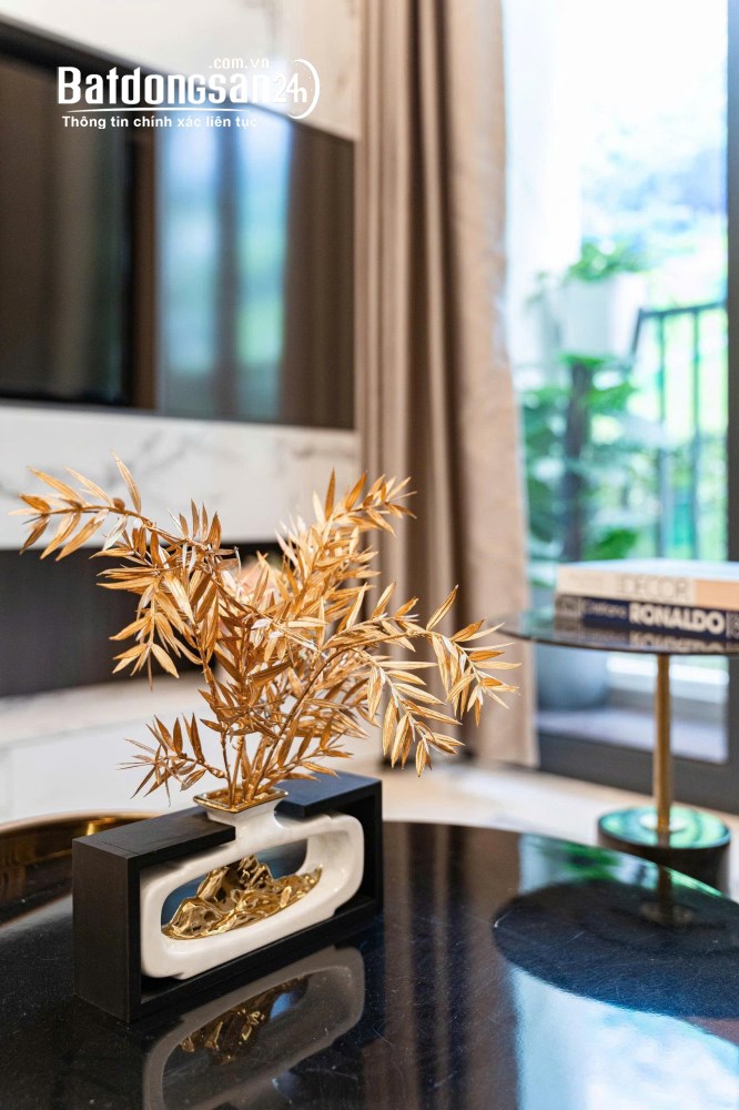 Bán căn hộ The Diamond City, Đường Quốc Lộ 13, Phường Thuận Giao (TP Thuận An cũ)