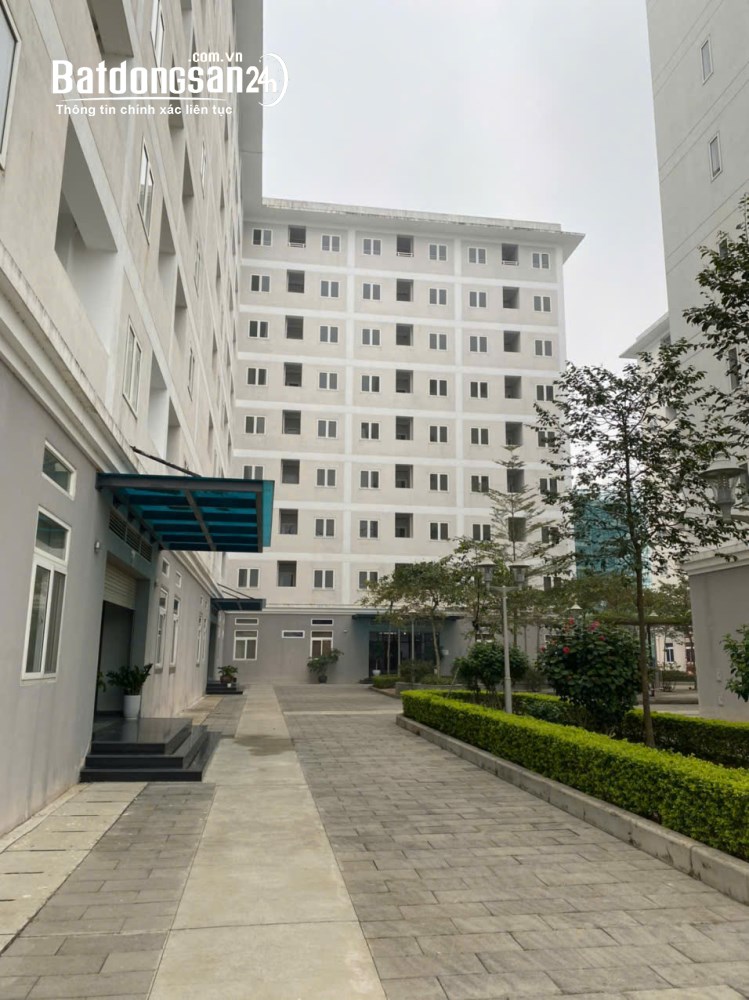 Bán Liền kề-Shophouse Đường Trần Hưng Đạo, Phường Hạc Thành (TP Thanh Hoá cũ), Thanh Hóa